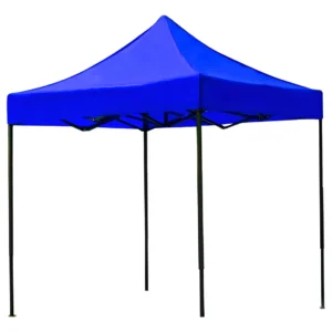 Toldo